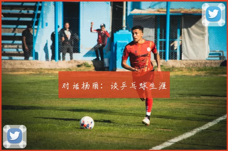 对话杨丽：谈乒乓球生涯