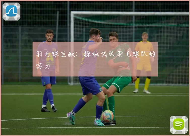 羽毛球巨献：探秘武汉羽毛球队的实力