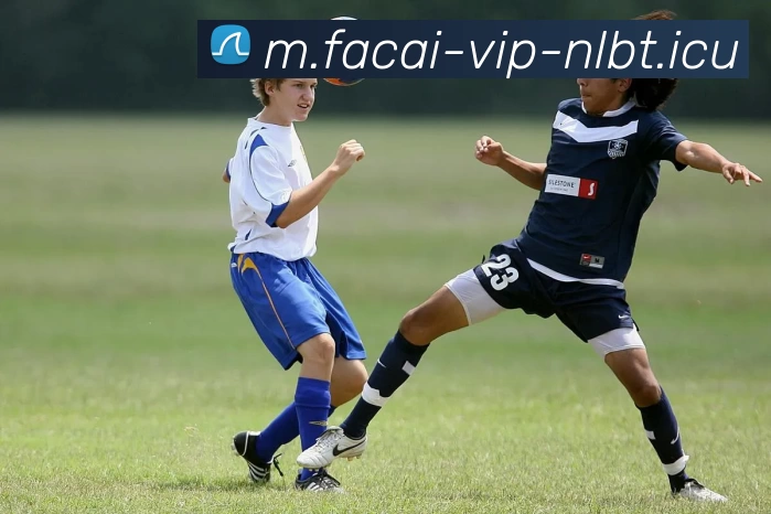 星空体育服务体系